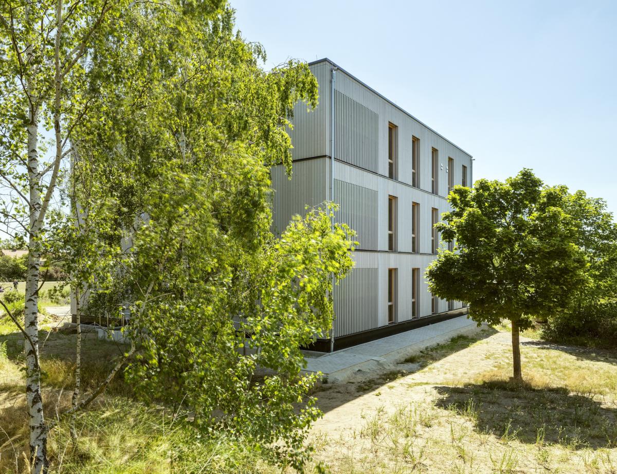 Avec le rachat de Brueggeman, Saint-Gobain redécouvre le bois